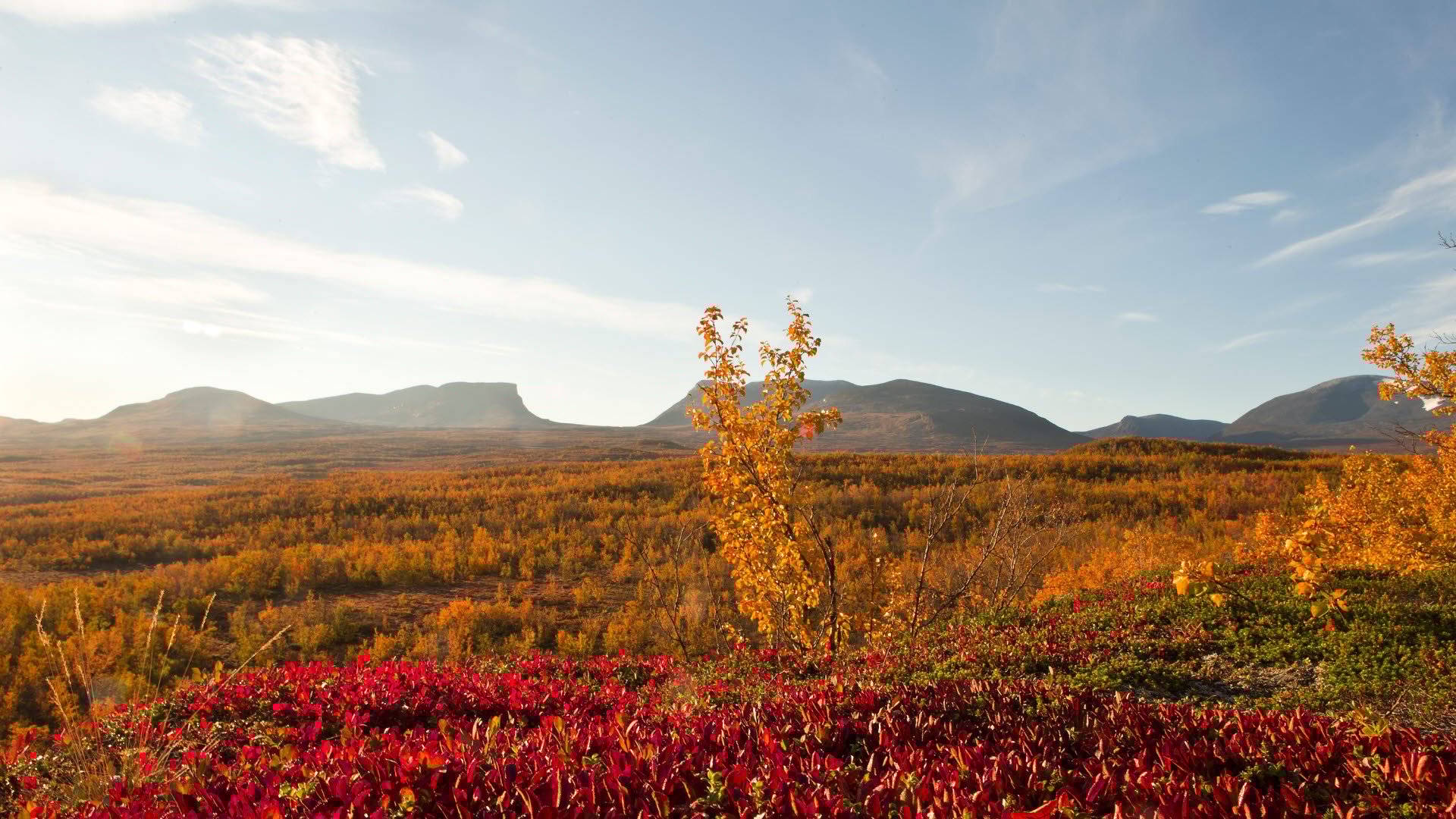 Abisko National Park