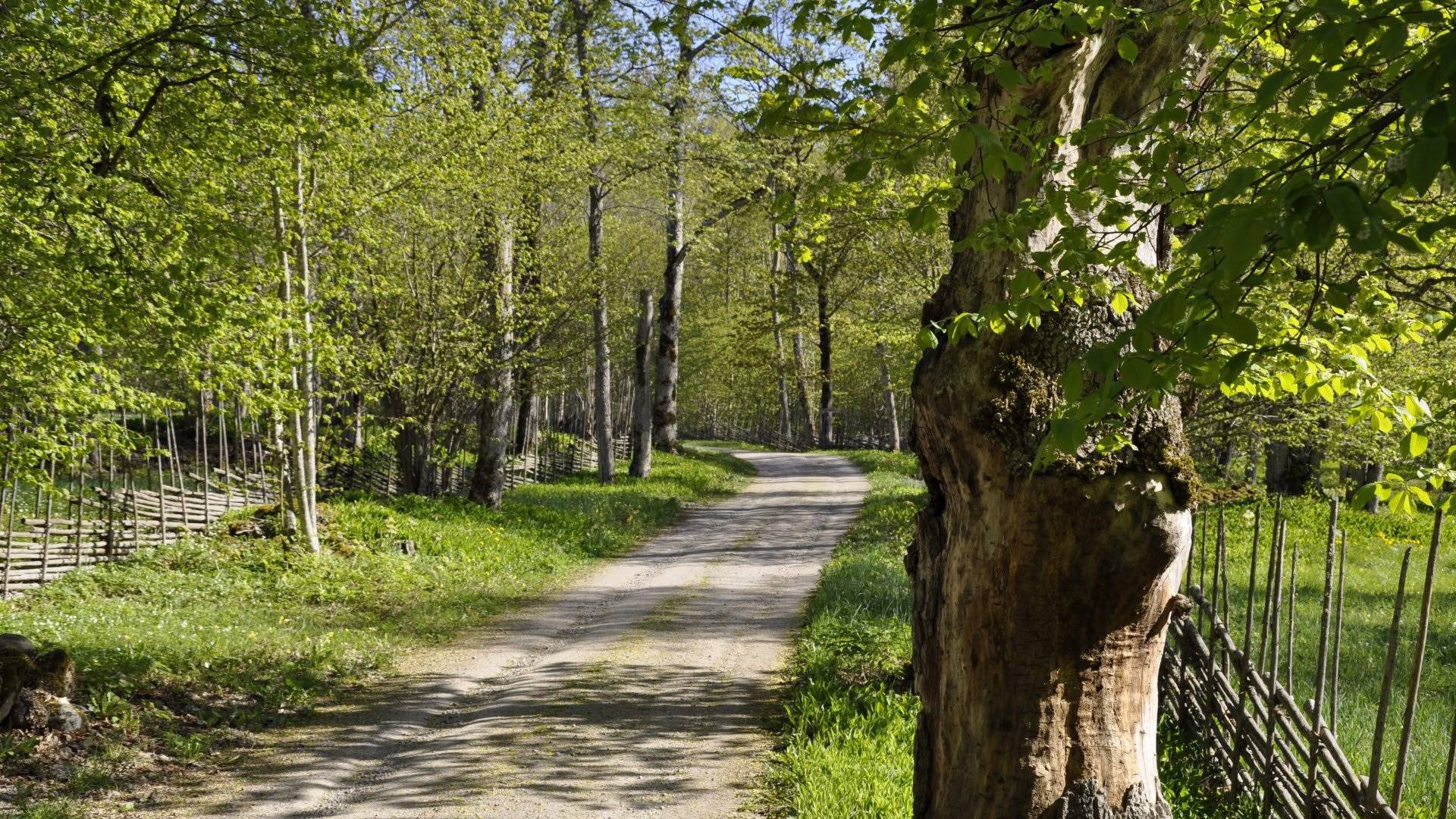 Garphyttan National Park