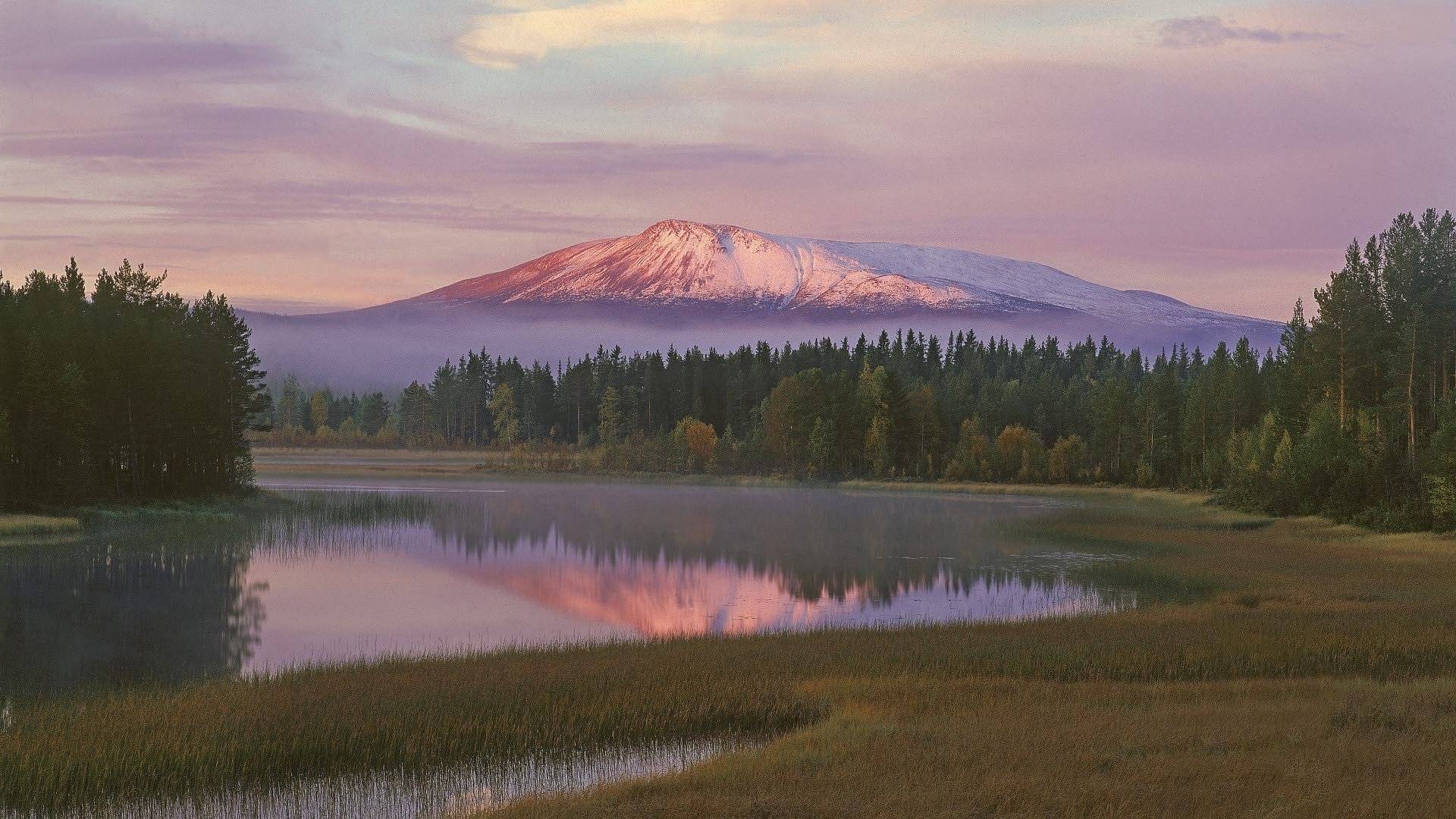 Sonfjället National Park