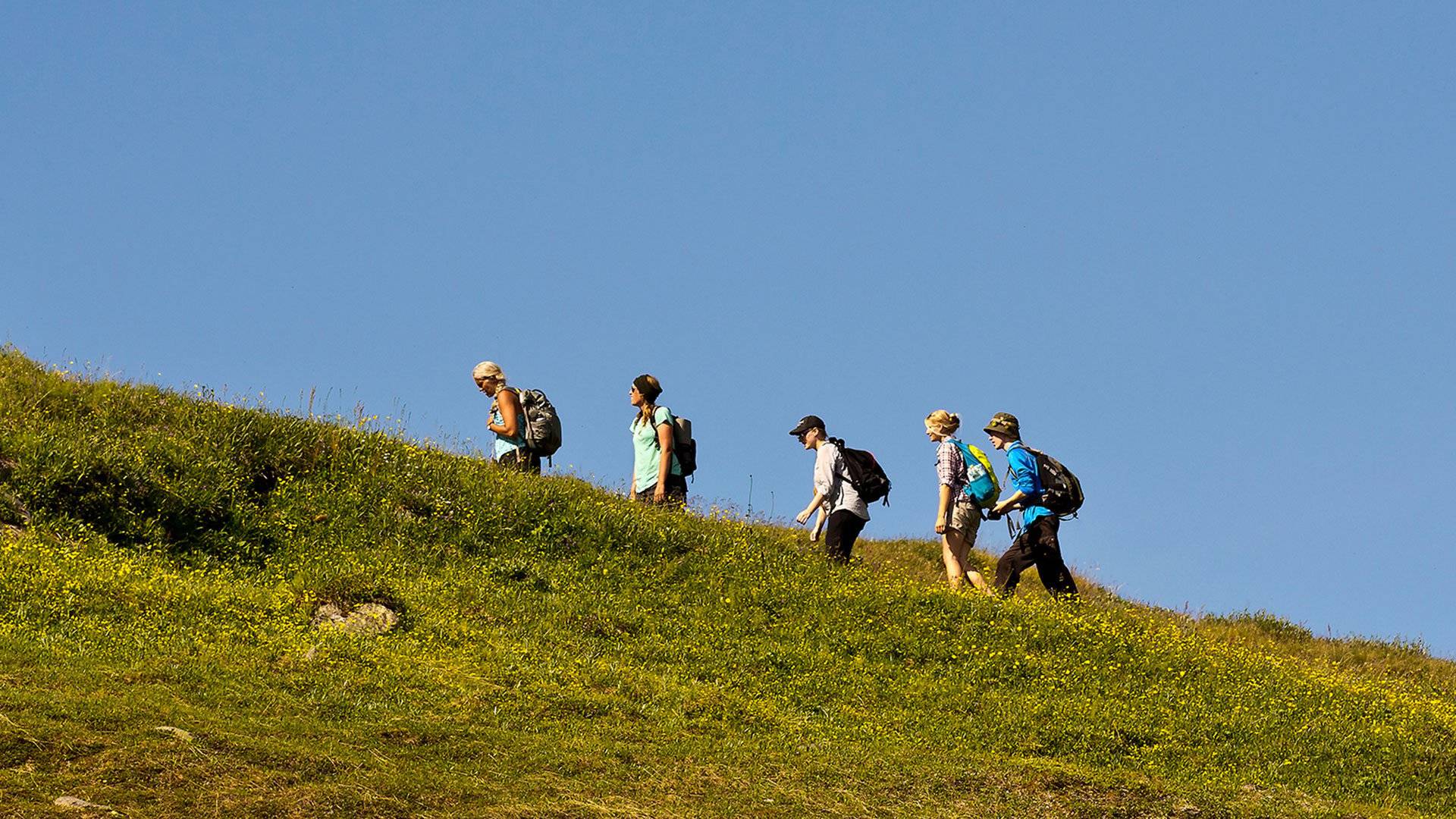 En grupp vandrare går uppför en gräsbeklädd sluttning under en klarblå himmel. Nuolja, Abisko, Lappland, Sverige.