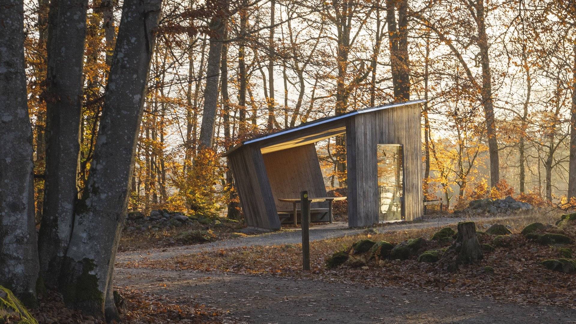 Väderskydd vid rastplats öst (Bjurkärr), sett på avstånd en solig höstdag med solen på väg ner. Åsnens nationalpark, Sverige.