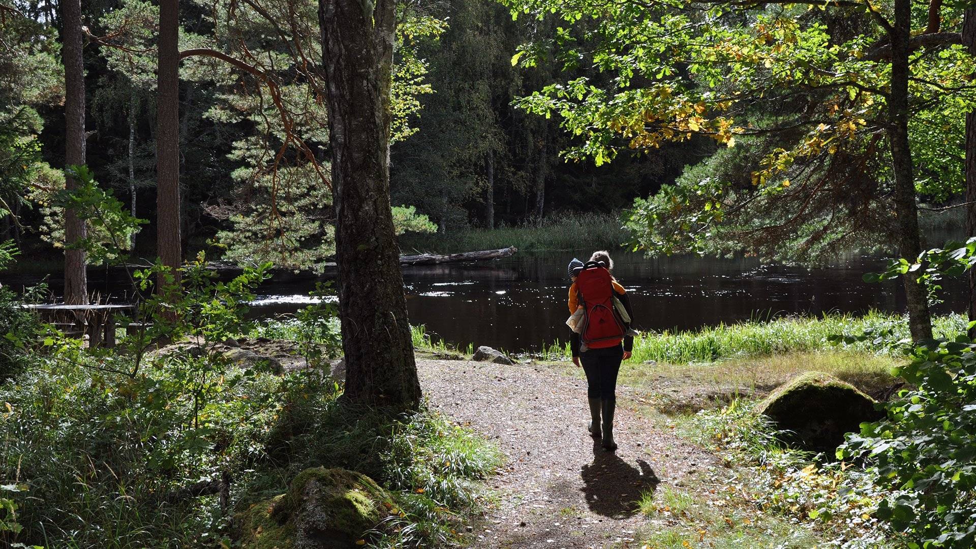 Person med barn på ryggen går på en skogsstig mot ett stilla vattendrag, omgiven av gröna träd och solglimtar genom lövverket.