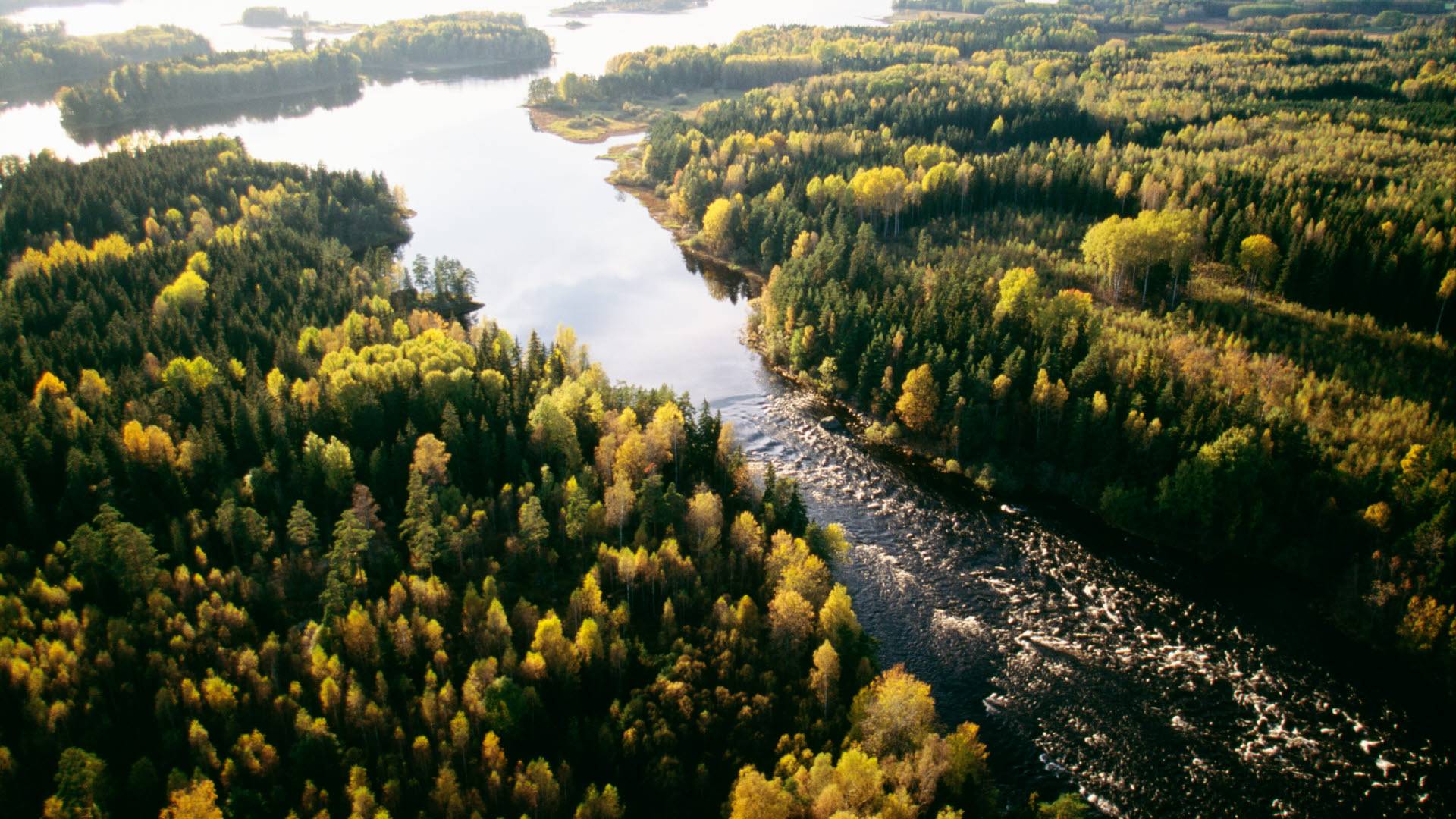 Flygbild över Färnebofjärdens nationalpark, Gästrikland.