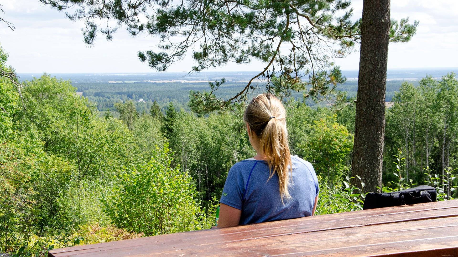 Person fotograferad bakifrån blickar ut från Svensbodaberget i Garphyttans nationalpark. 