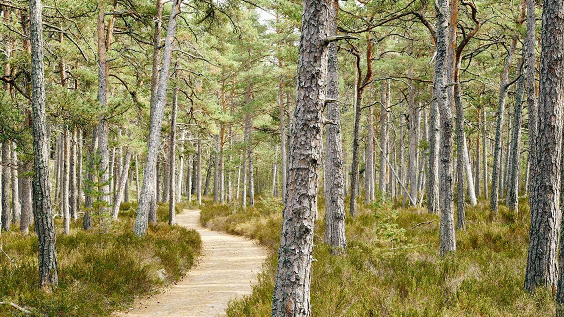 Gotska Sandöns nationalpark
