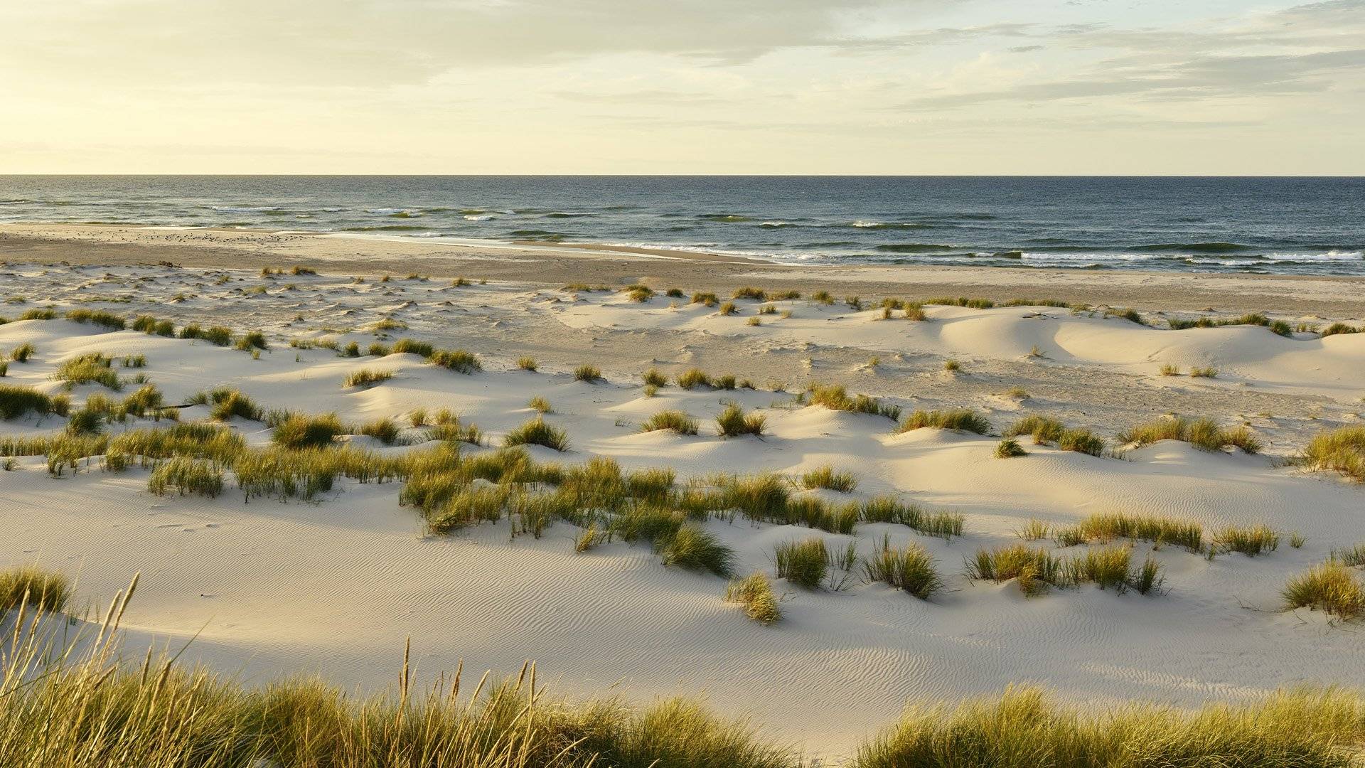Gotska Sandöns nationalpark