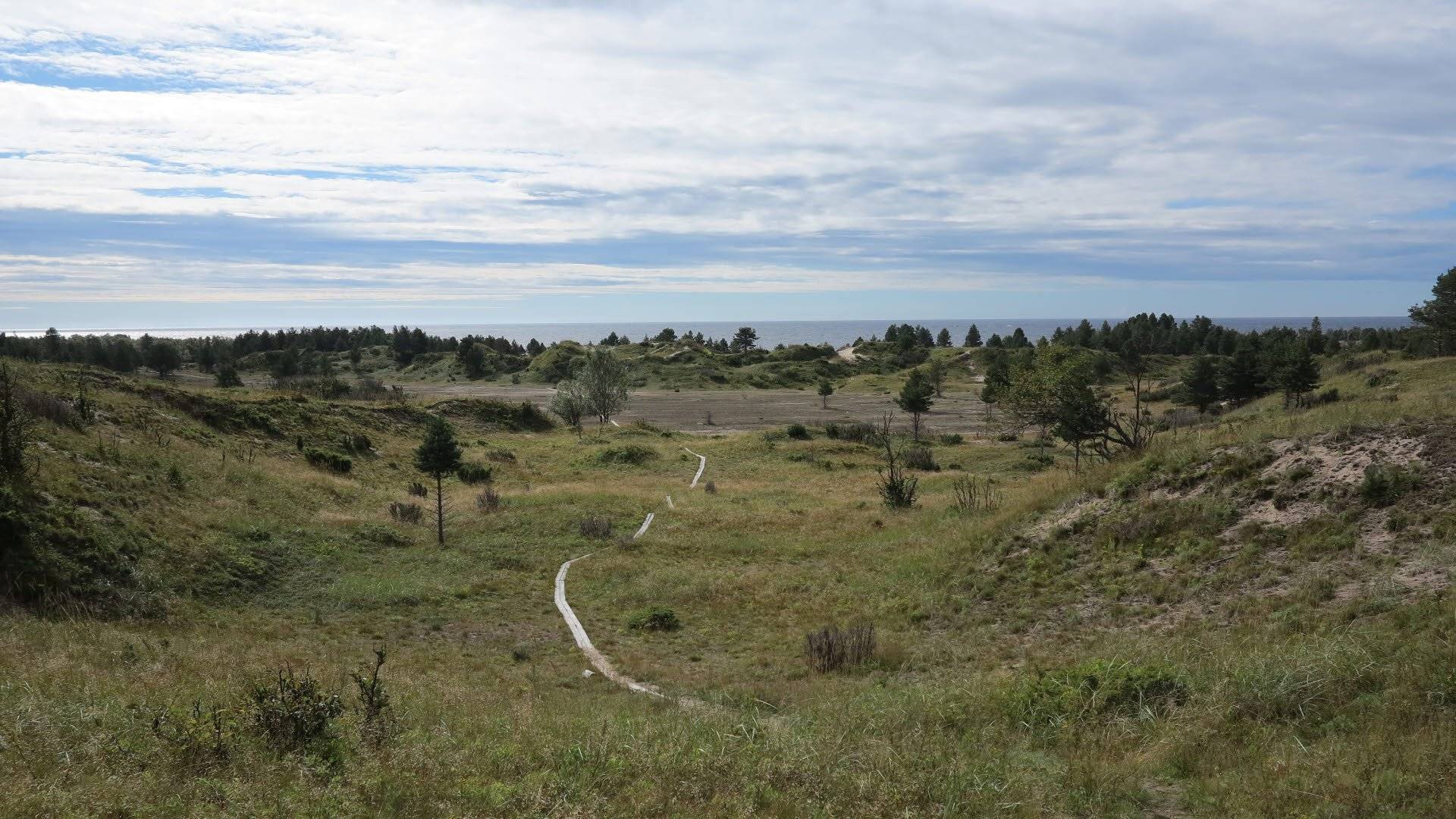 Sanddynslandskap vid Haparanda skärgårds nationalpark med en smal träspång som slingrar sig fram mot havet. Haparanda skärgårds nationalpark, Norrbotten län, Sverige.