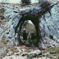 Skuleskogens nationalpark