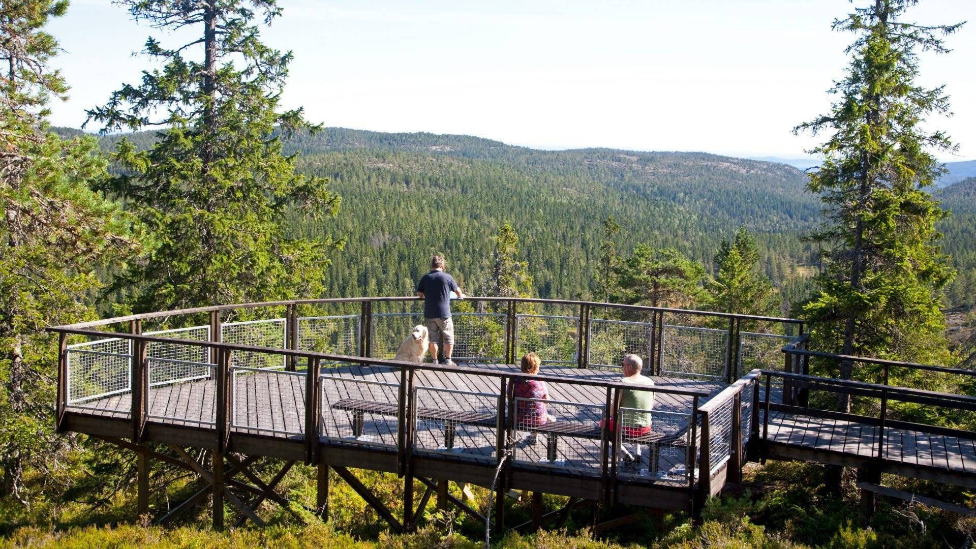 Utsikt från Nylandsruten i Skuleskogens nationalpark. 