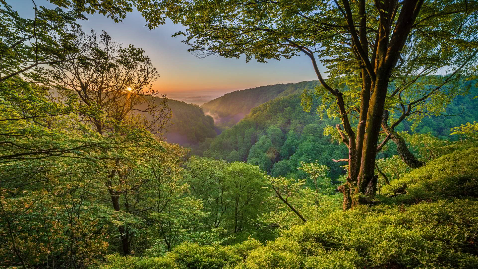 Söderåsens nationalpark