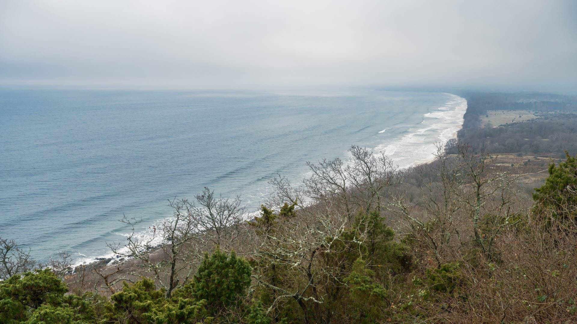 Utsikt över kustlinje och Östersjön från toppen av Stenshuvud, Stenshuvuds nationalpark.
