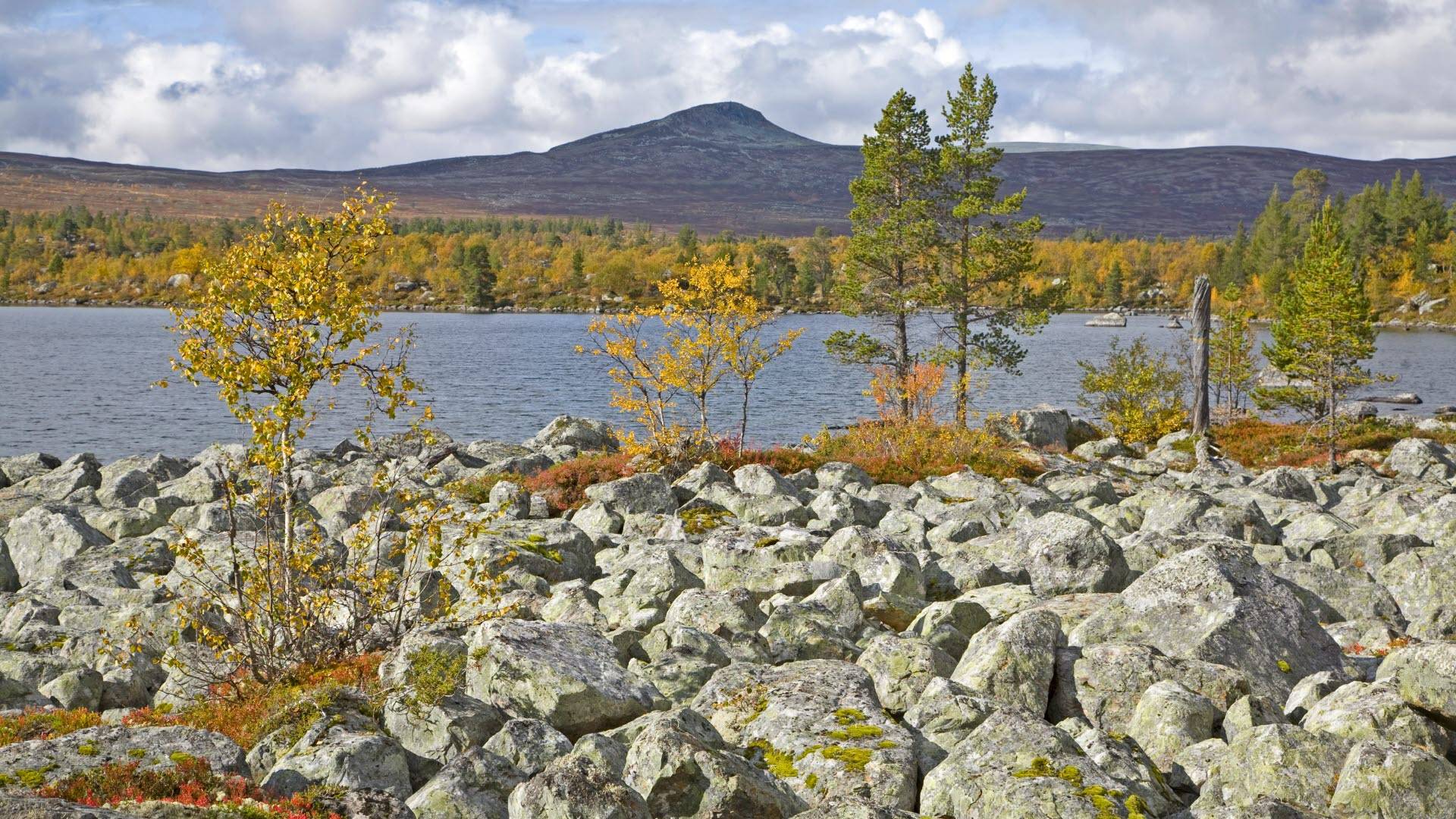 Blocklandskap vid Särsjön,Töfsingdalens nationalpark