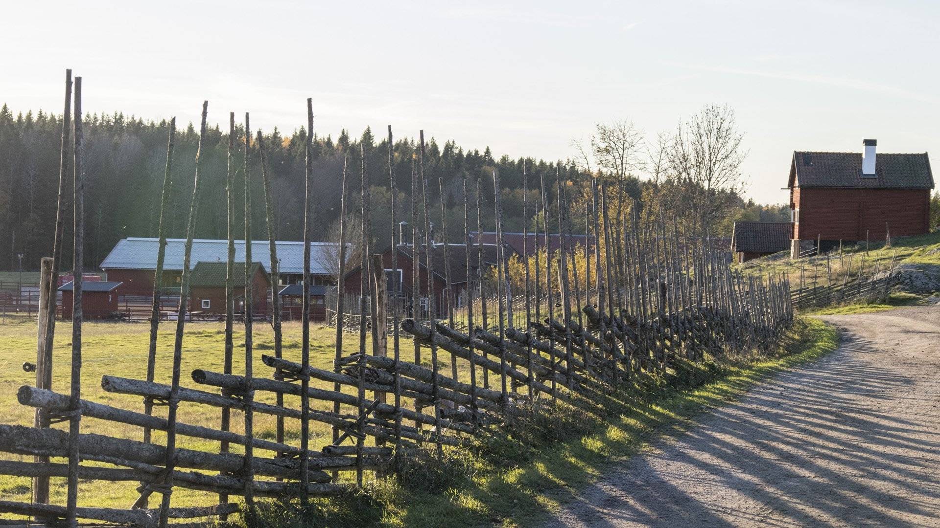 Gärdesgård vid väg och hus, Tyresta