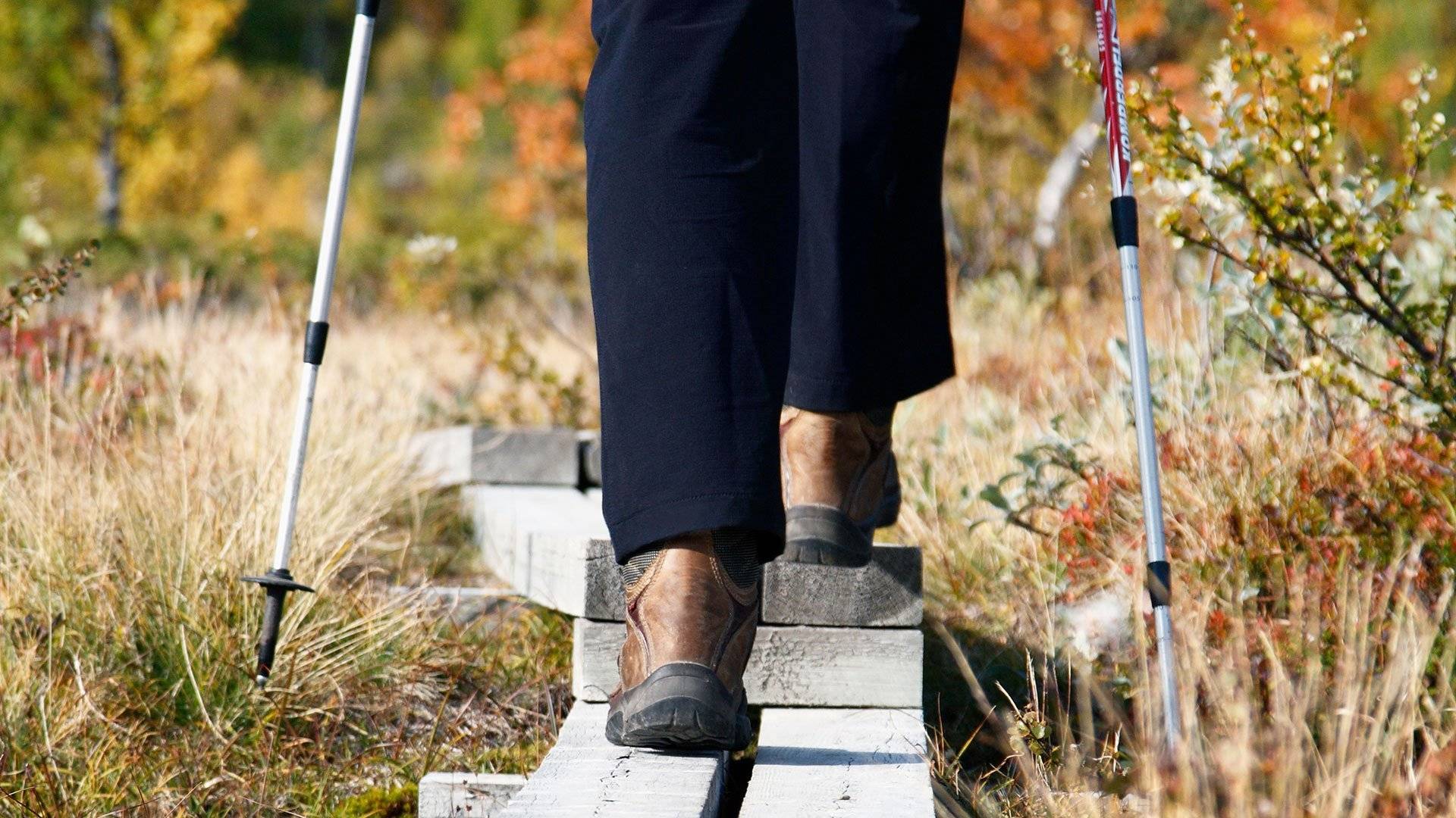 En vandrare går på en trappstegsspång, Kungsleden, Lappland, Västerbotten.
