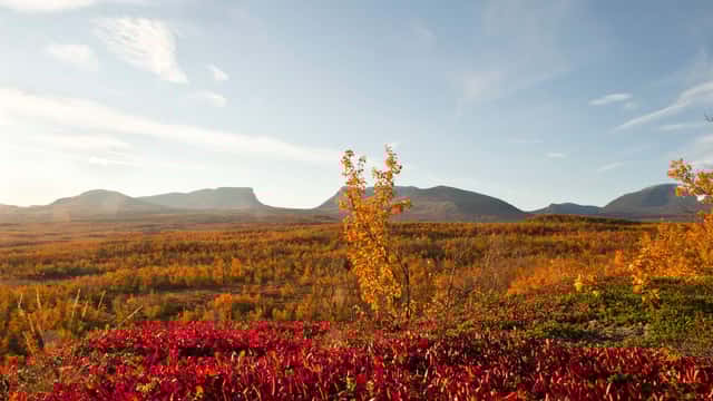 Jan-Erik Nilsson / Länsstyrelsen Norrbottens län Abisko National Park