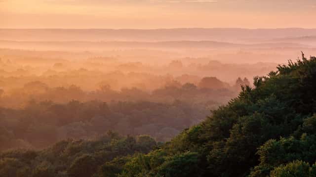 Utsikt över skogsbeklädda kullar i Söderåsens nationalpark. 