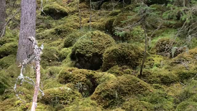 Stenblock i brant sluttning