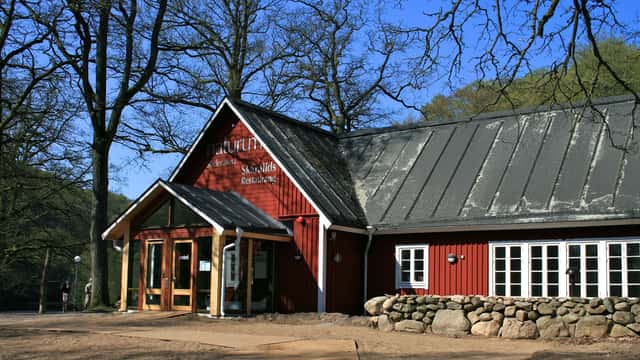 Röd byggnad som rymmer naturum Söderåsen i ett skogsområde, med stora fönster och en stenmur framför, omgiven av träd i vår- eller försommargrönska.