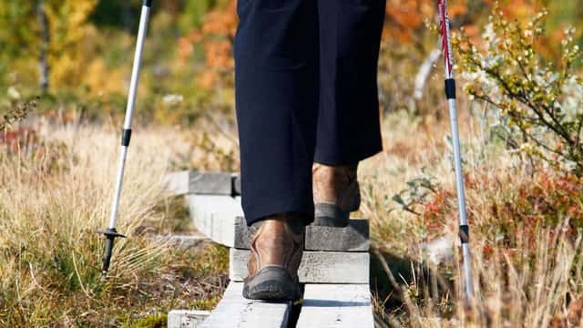 En vandrare går på en trappstegsspång, Kungsleden, Lappland, Västerbotten.