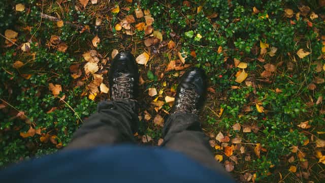 Vandringskängor i höstlöv, Oxberg, Mora, Dalarna.